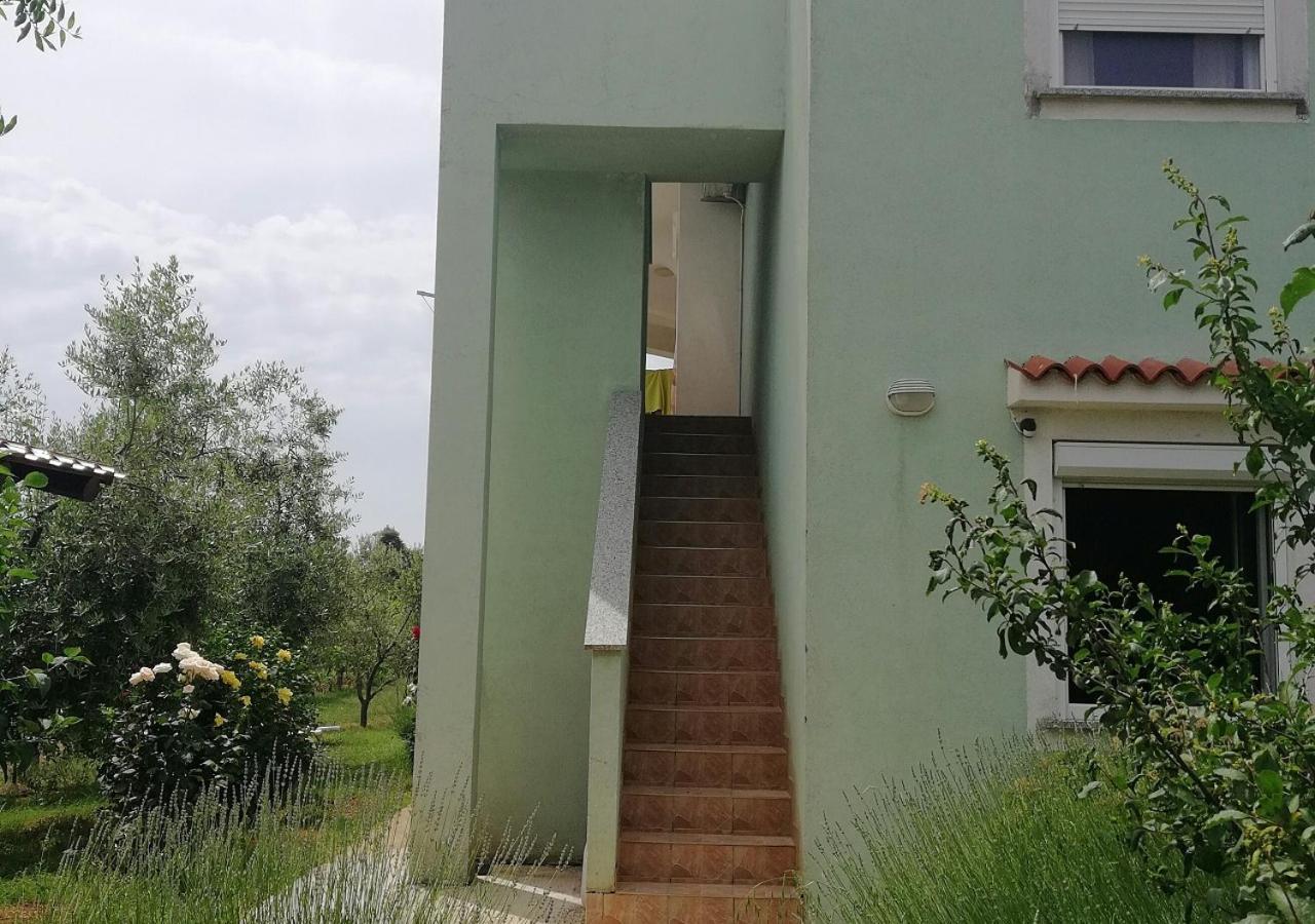 Apartmani Natasa Vrsar Ngoại thất bức ảnh